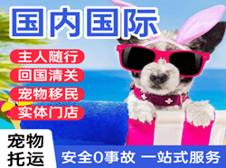 屯溪空运地址国际宠物托运 【国